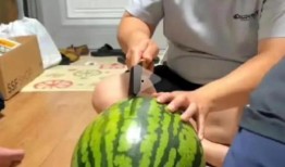 最新吃瓜大爆料,最新吃瓜大爆料，真相令人震惊！