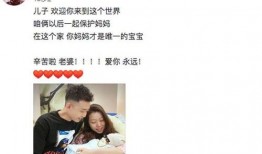 三宝爸爆料视频,育儿心得与亲子互动新视角